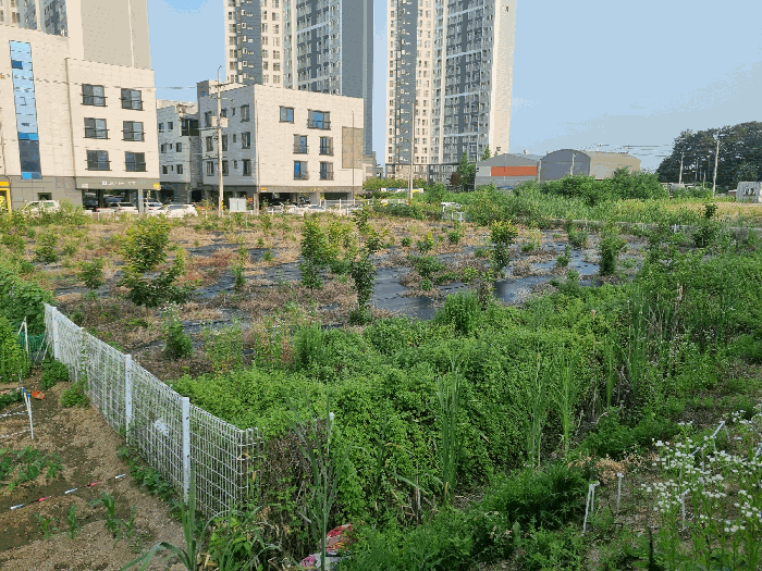 [남동측에서 본 대상토지 1]