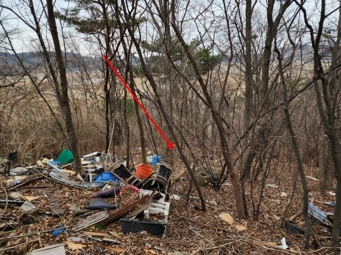 기호(10) 전경
