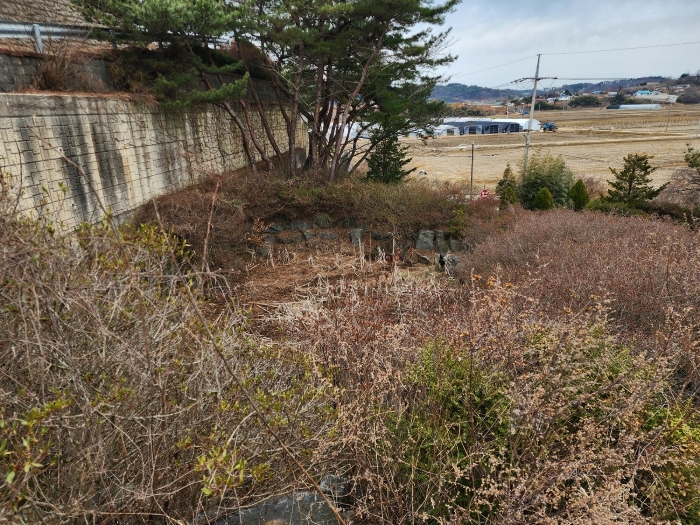 기호(3,4,8) 지상의 연못 전경