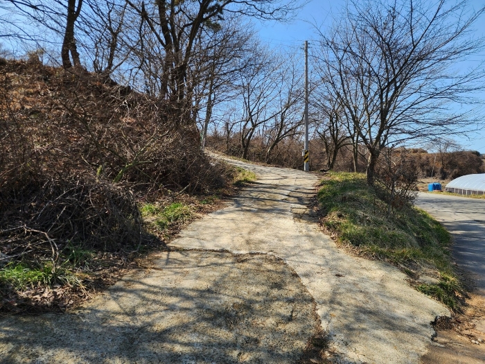 기호(2) 현황 도로 부분 전경
