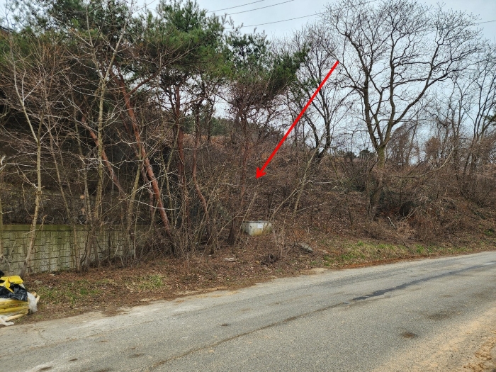 기호(6) 전경