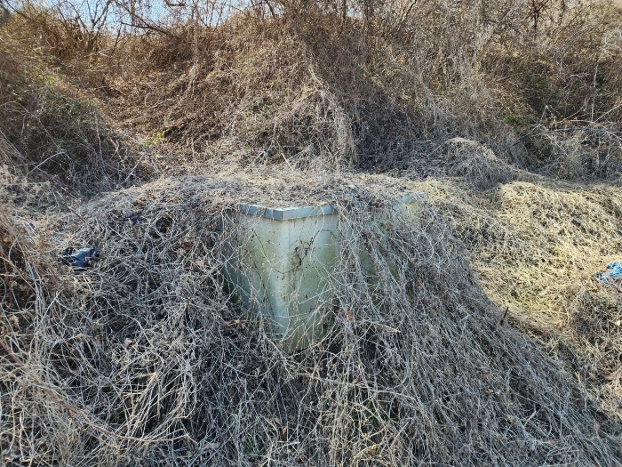 기호(2) 지상 제시외 관정 ㉤ 전경