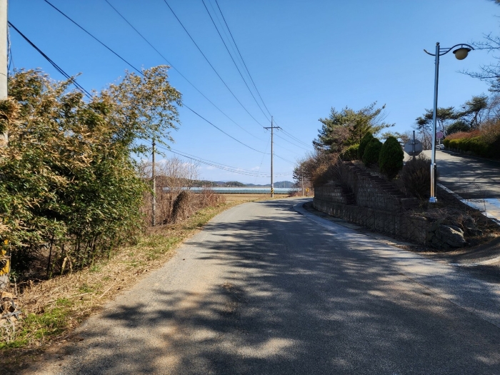 본건 북측 도로 및 주변 전경 2