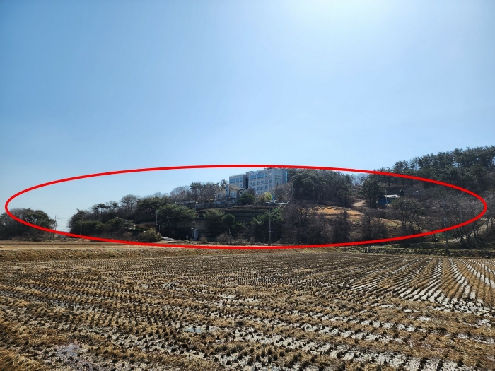 본건 원경
