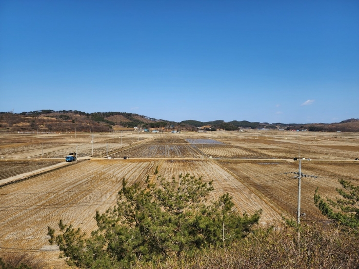 본건 북측 주변 전경