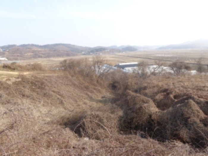 [목록 2] 서쪽 지상의 모습