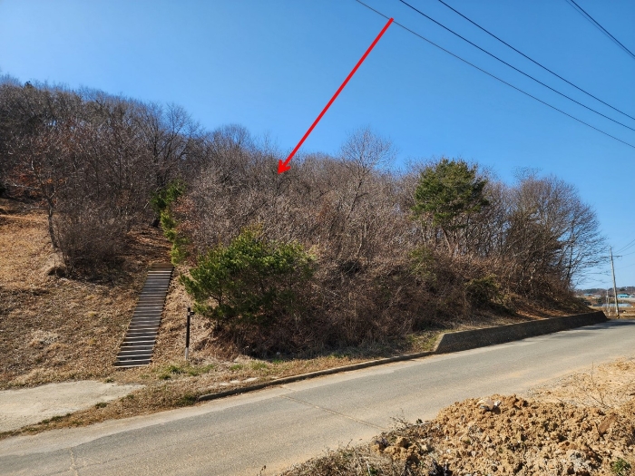 기호(9) 남측 부분 전경