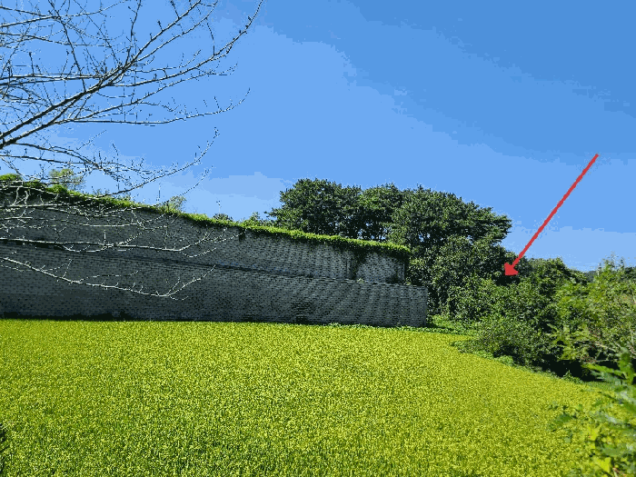 일련번호(1)