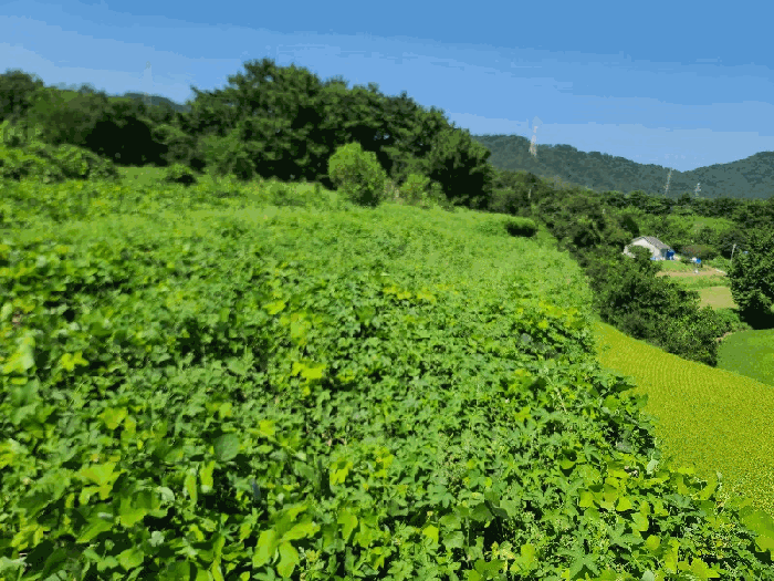 일련번호(2)