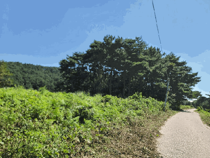 일련번호(4)