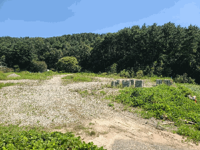 일련번호(5)