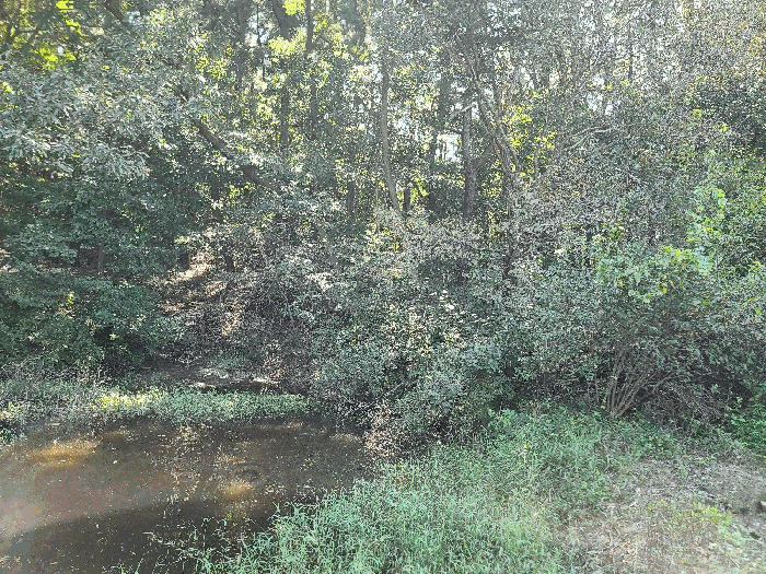 일련번호(5)
