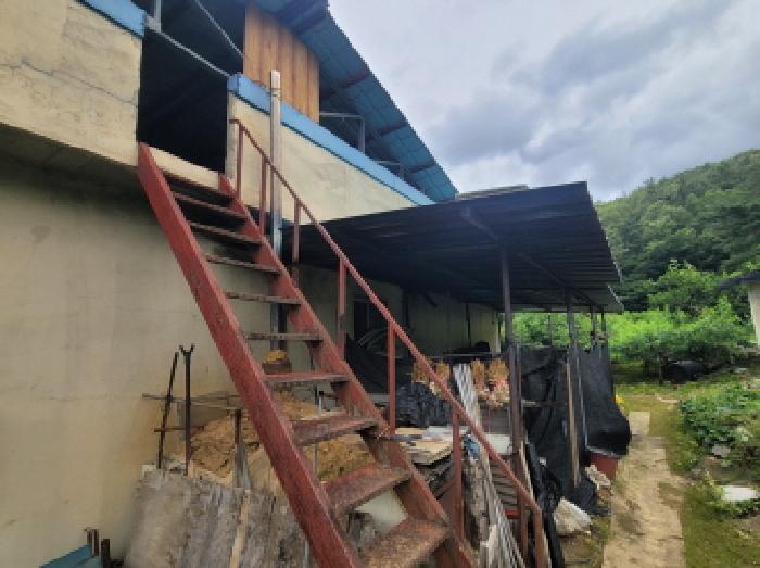 주택 측면 제시