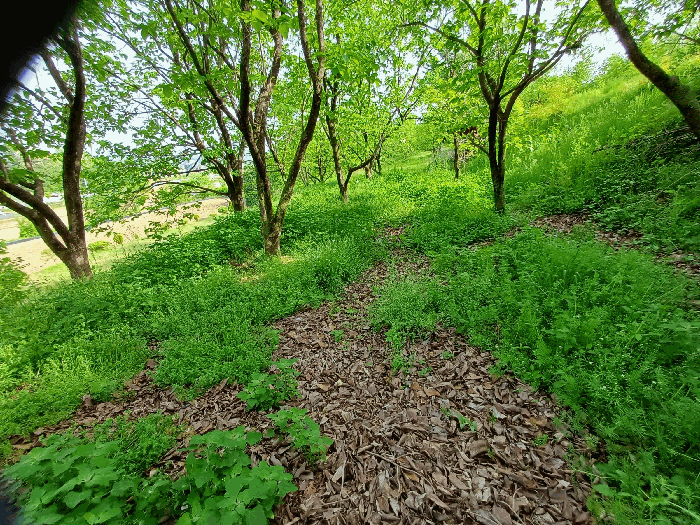 기호(1)토지