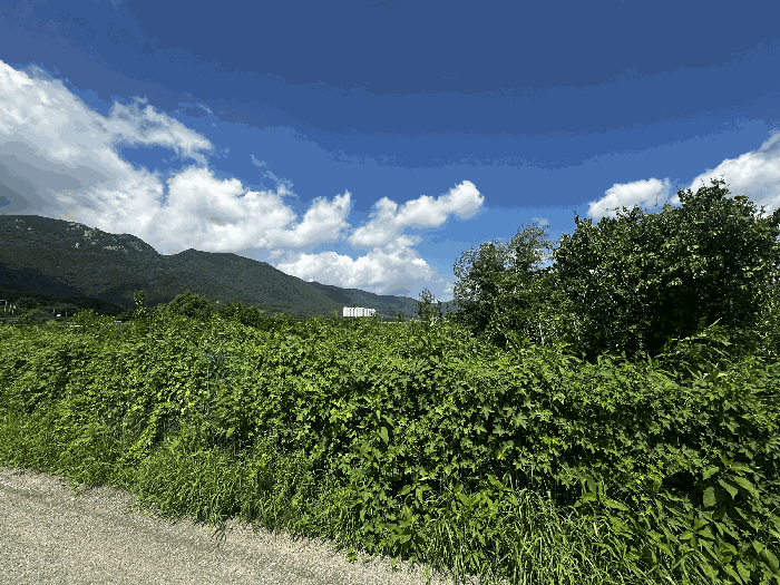 남측