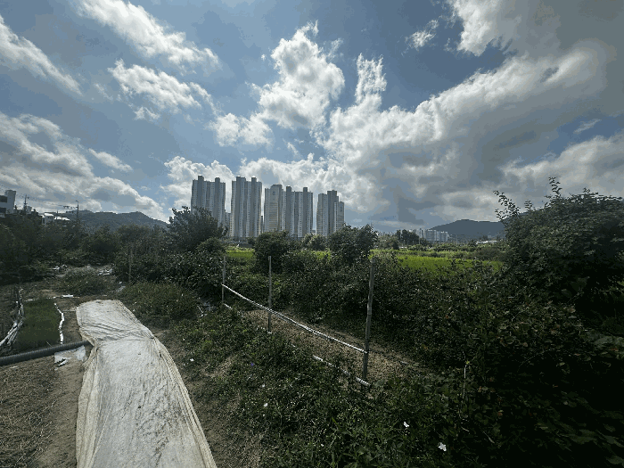 북측
