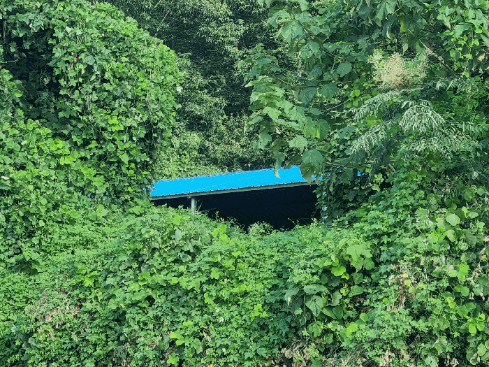 [제시외건물 ㄷ]