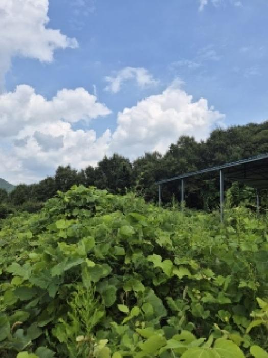 한천면 모산리 753-10
