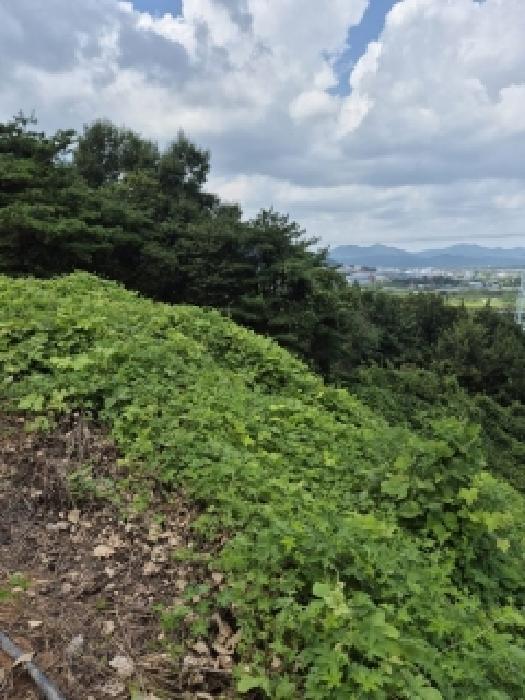 한천면 모산리 산37-23