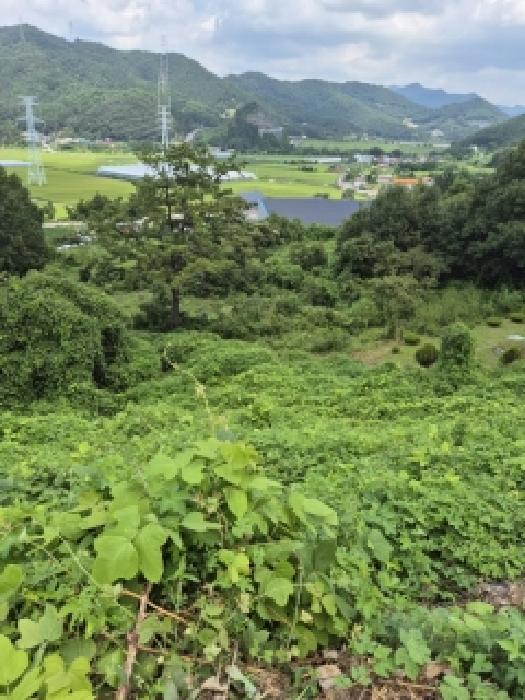 한천면 모산리 산37-23