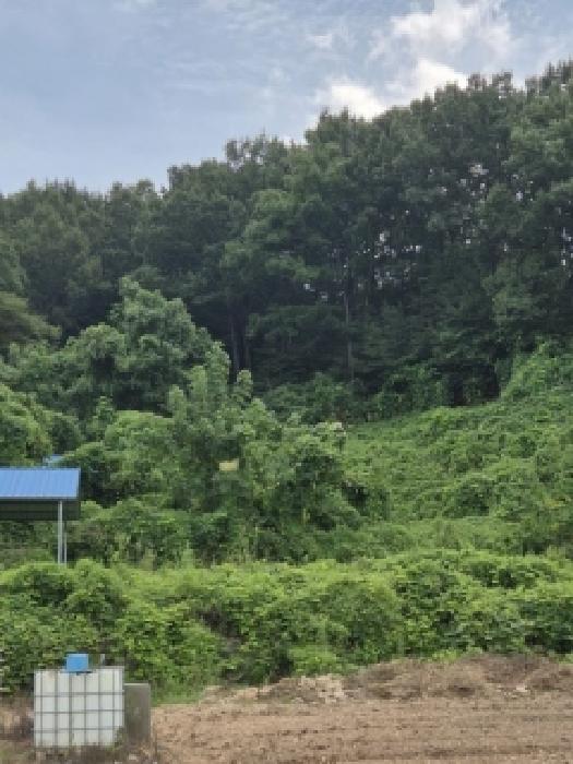 한천면 모산리 753-15