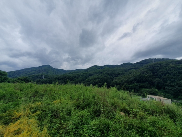 기호(2) 전경