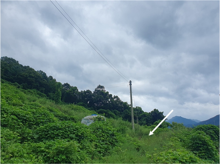 기호(4) 전경(북측 촬영)