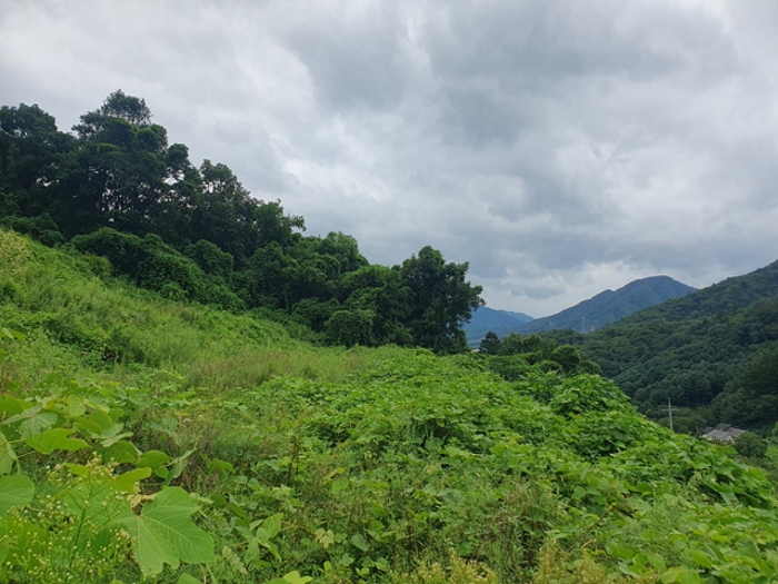 기호(5) 전경(북측 촬영)