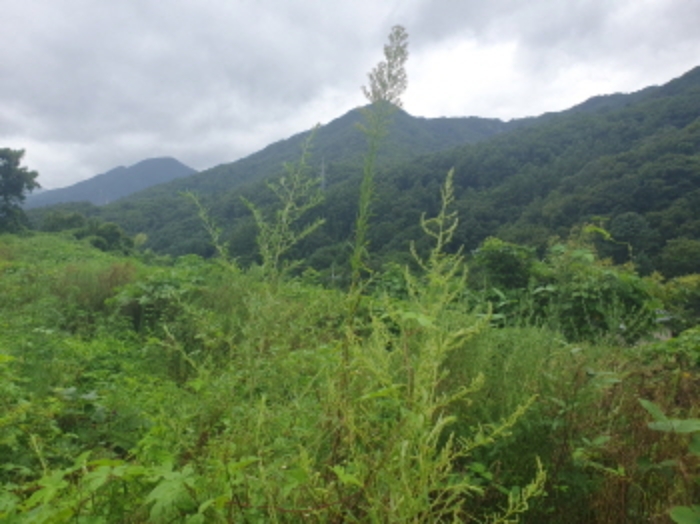 목록5