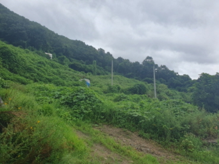 전경