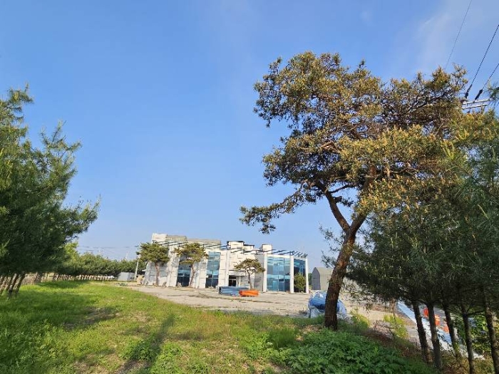 제시 목록 1 및 위지상 제시외 정원수(소나무 4개) 전경