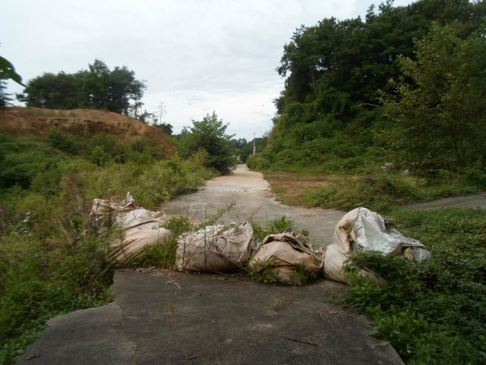 기호(14) 도로 동측에서 촬영