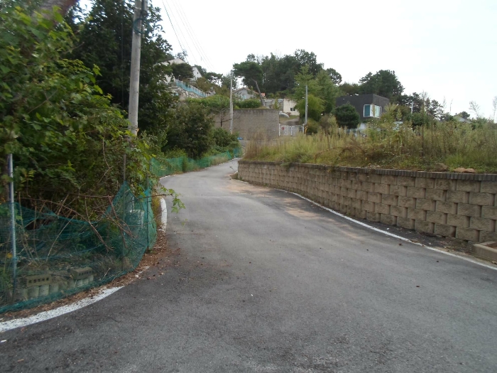 기호(19) 도로 서측 부근에서 촬영
