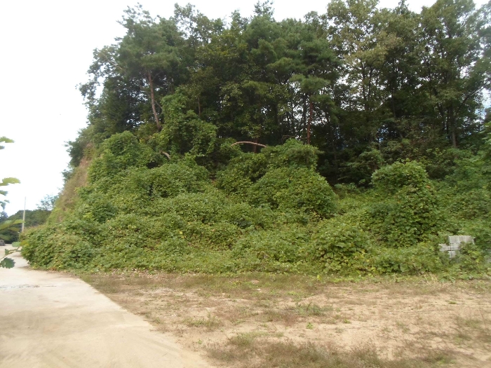 기호(10),(6) 남동측 부근에서 촬영