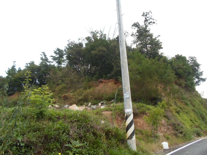 기호(7)토지 남서측 부근에서 촬영