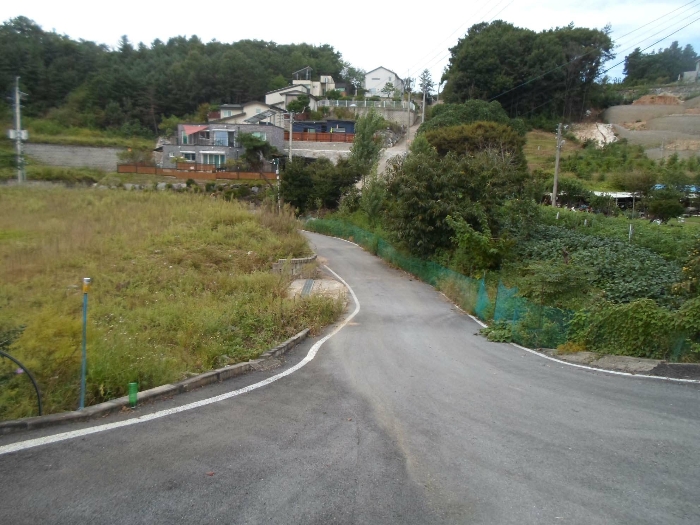 기호(19) 도로 동측 부근에서 촬영