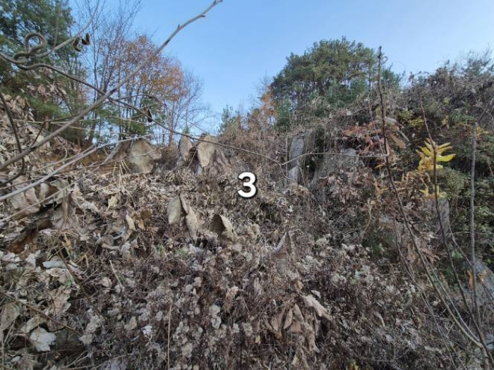 목록 3