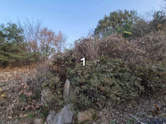 목록 1