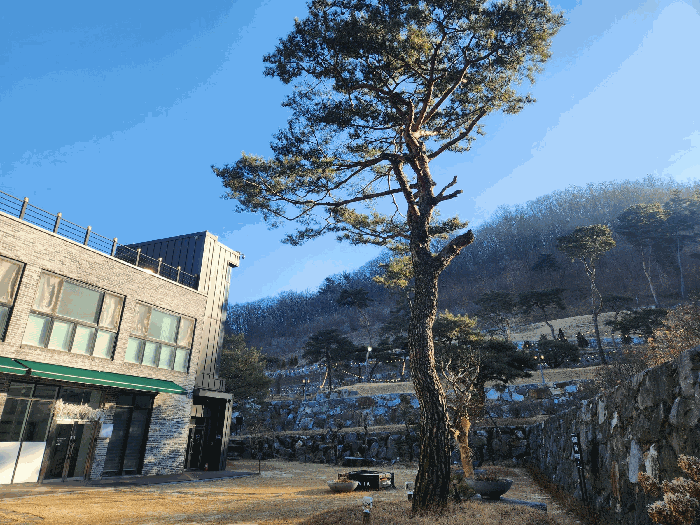 본건 제시외수목 ㉢