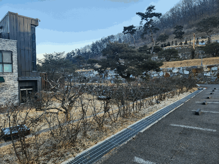 본건 제시외수목 ㉢
