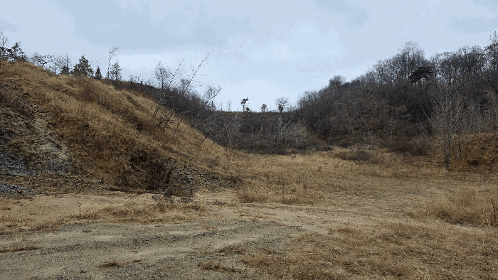 기호 1 토지