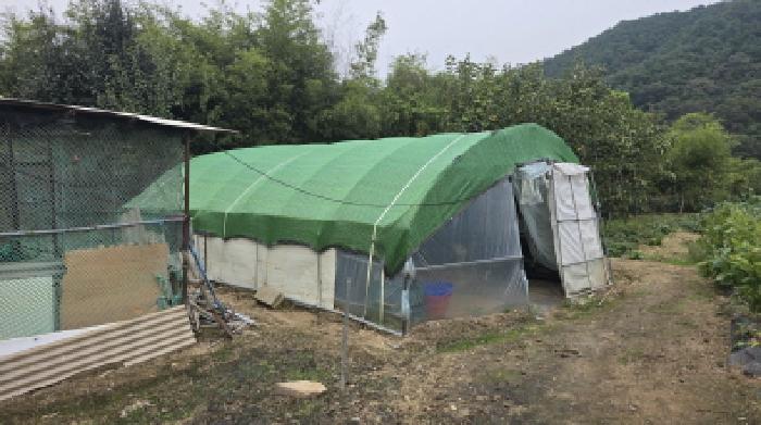 제시외 비닐하우스1개동이 설치되어 있는 전경
