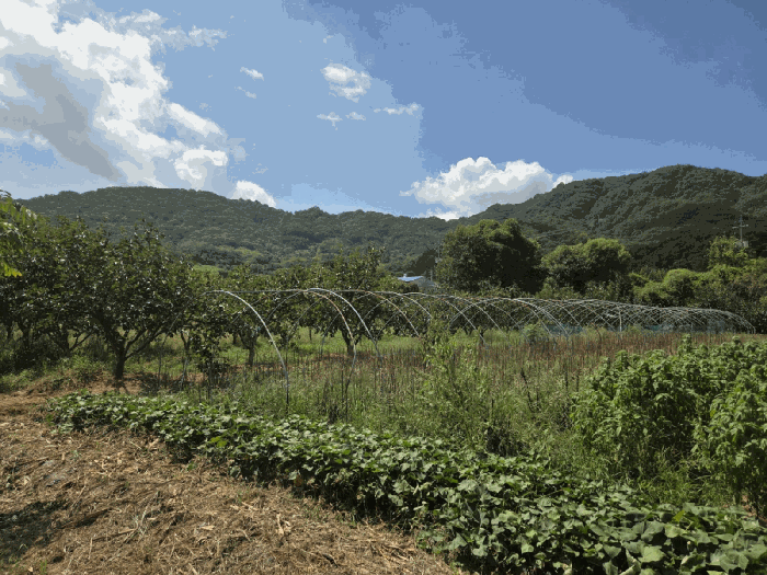 기호(1)전경 - 남동측부분