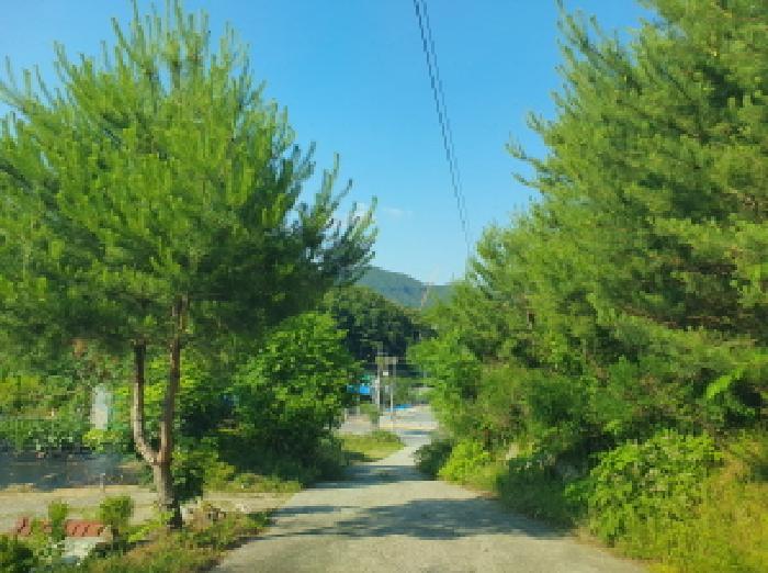 목록3