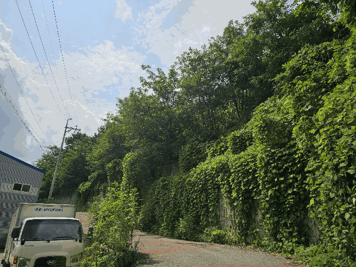 대상물건(1~4,15,16,22) 전경