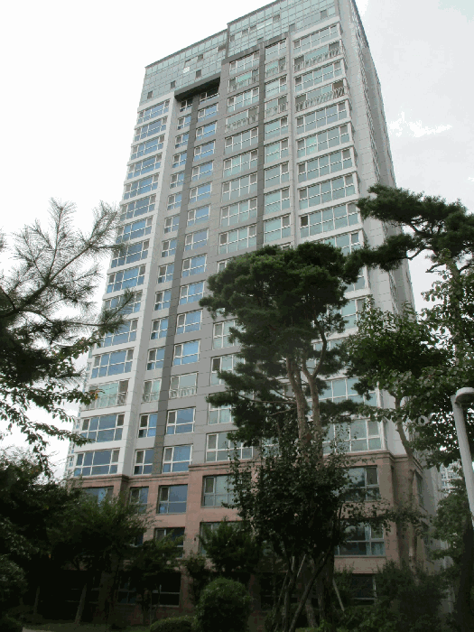 본건 전경