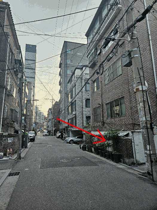 본건 (기호 1