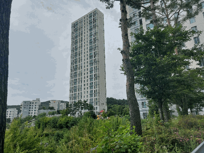 본건 - 남동측 전경