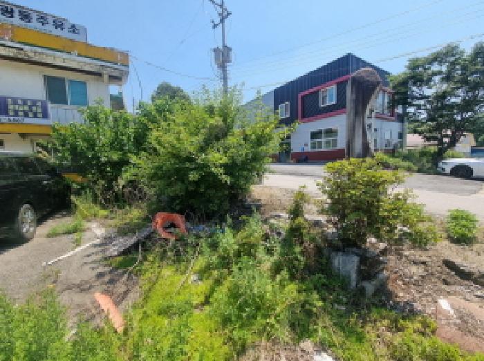 목록2 제시외수목