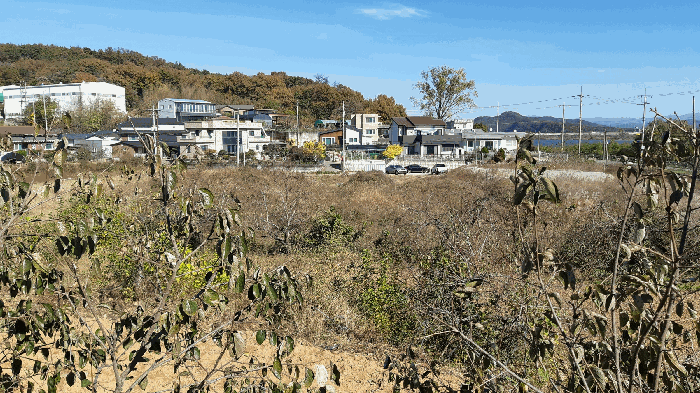 본건 번호 (5) 토지 전경1